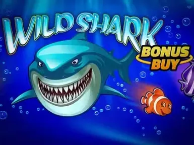 Spinanga Casino screenshot